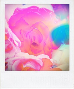 image-17