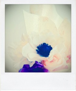 image-2 copy 5
