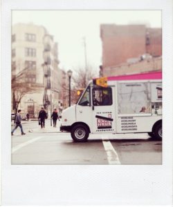 Natasha case, coolhaus