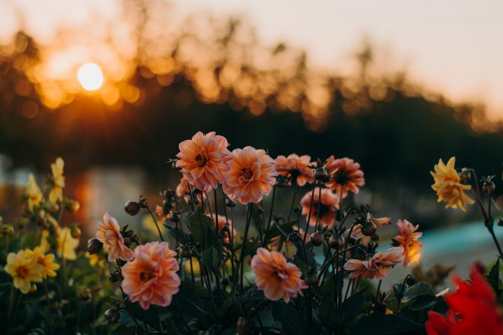 kindness quotes